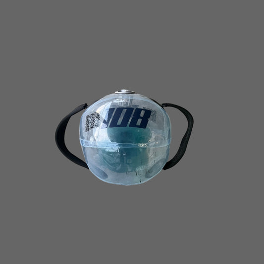 IN HOUSE Waterball